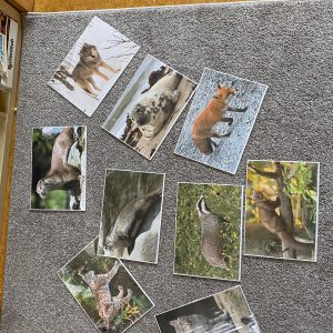 38faf1e3-7ef4-4b43-808e-85c8fb3b645b